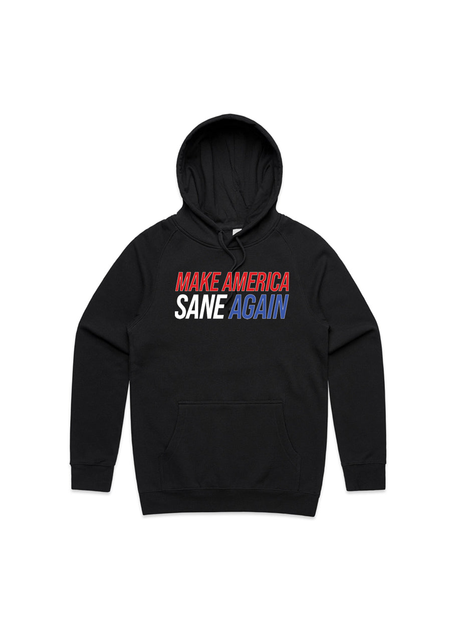 Make America Sane Again Hoodie